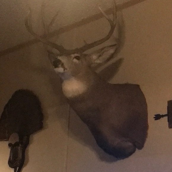 Meet your Posher, Ryan - Picture 1 of 1